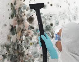 Best Forensic Mold Investigation  in La Palma, CA